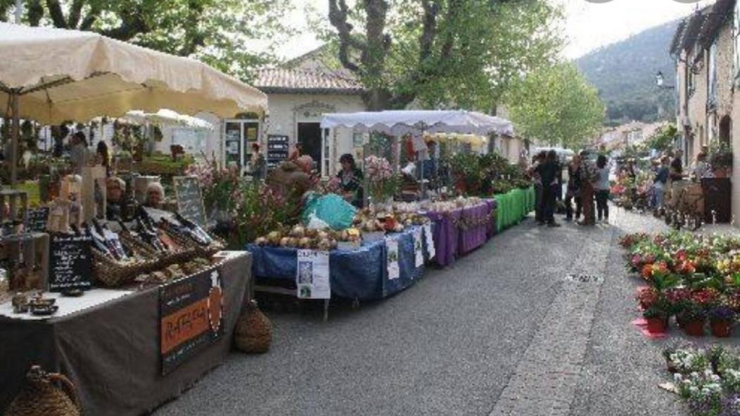 Appartamento Sylvie Le Plan-de-la-Tour Esterno foto